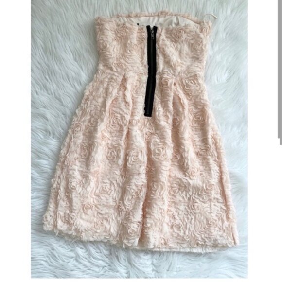 Zara Rose Appliqué Dress - Picture 3 of 3